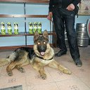 ������ � � !!!!!!!!!!!!! �� ������� ���� ����������