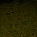 � ����� ������ �� ���� �����... �� ������� ���� ����������