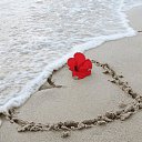 ���� �����, ������ - ��������� 2 ������� 2013 � ������ ���� ����������