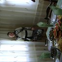 ���� ����, �������, 34 ���� - ��������� 10 ������ 2012 � ������ ���� ����������