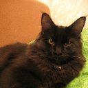 ���� ����� ��������, �������, 51 ��� - ��������� 8 ����� 2012