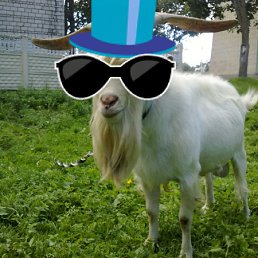 ���� ������, ������, 56 ��� - ��������� 4 ������� 2012