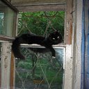 ���� ������, ����������, 54 ���� - ��������� 4 ������� 2011 � ������ ���� ����������