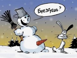 ���� ����, �����, 36 ��� - ��������� 24 ������� 2012