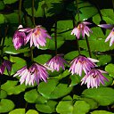 ���� Mrs, ���� - ��������� 28 ����� 2012 � ������ ���������������� � ����� �����