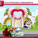  ,  , 40  -  11  2010   PetLove