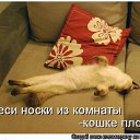 ���� ��������, ������ - ��������� 27 �������� 2010 � ������ ���������!!!�