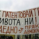 ���� ���� ���������, �����, 46 ��� - ��������� 29 ����� 2013 � ������ ���� ����������
