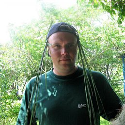 �������, ������������, 45 ���