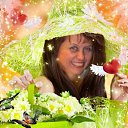  , , 57  -  16  2013         .