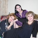  , , 61  -  21  2012   PetLove