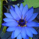 ���� ����� - ���������� ��������!!!, �����������, 56 ��� - ��������� 10 ������ 2010 � ������ ������� �����