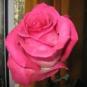  , -, 42  -  31  2012   