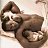 http://fotostrana.ru/user/40142532/album/14864769/photos/78310486/
