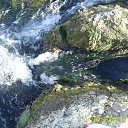 ���� �������, �������, 38 ��� - ��������� 11 ��� 2010 � ������ ���� ����� ����� �������