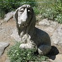  , , 33  -  15  2009       ?