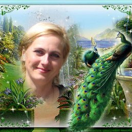 ������, ��������, 51 ���