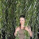 ���� ����, ���� - ��������� 10 �������� 2012 � ������ ���� ����������