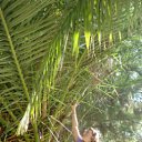 ���� �������, �����������, 51 ��� - ��������� 18 �������� 2011 � ������ ���� ����������