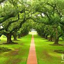 ���� Natig, ����, 60 ��� - ��������� 25 ���� 2013 � ������ ���� ����������