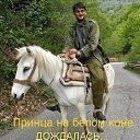 ���� ������, ������, 44 ���� - ��������� 18 ������� 2012 � ������ ���� ����������