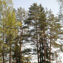 ���� ����, �����-��������� - ��������� 24 ��� 2011 � ������ ����� ���������