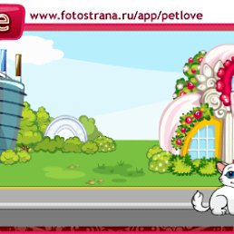 ���� Dima, �����-���������, 40 ��� - ��������� 20 �������� 2010