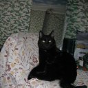 ���� ������, ������, 63 ���� - ��������� 27 ������� 2010 � ������ ���� ����-�����