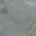 ���� �����, ����������� - ��������� 8 ������� 2012 � ������ �������