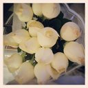 ���� �������, ������-��-����, 36 ��� - ��������� 4 ���� 2013 � ������ ���� ����������