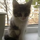 ���� Ferro, ��� - ��������� 4 ��� 2011 � ������ ���������