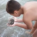 ���� �������, ���������, 26 ��� - ��������� 6 ������ 2012