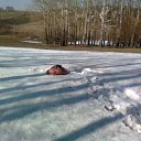 ���� ������, �����������, 53 ���� - ��������� 22 ������ 2011 � ������ �� � ����� �������� � �����