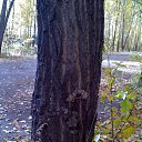 ���� ��������, �����������, 59 ��� - ��������� 9 ������ 2011 � ������ �������