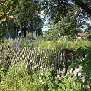  ++, , 55  -  6  2013    