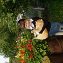 ���� ���������, ������, 24 ���� - ��������� 25 ������ 2010 � ������ ���� ����������