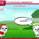  , , 40  -  10  2010   PetLove