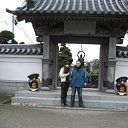 ���� ������, �����������, 41 ��� - ��������� 31 ������� 2012 � ������ ���� ����������