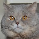 ���� ����, ������, 58 ��� - ��������� 9 ������� 2013 � ������ ���� ����������