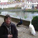   ( ), , 64  -  20  2013    2012