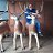 ���� ���������, ������, 69 ��� - ��������� 23 ���� 2013