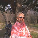 ���� ����, ����-���������, 59 ��� - ��������� 30 ������� 2011 � ������ ���� ����������