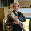 ���� �����, �����, 54 ���� - ��������� 14 ������ 2011 � ������ ���� ����������