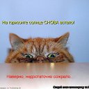 ���� ����, �����, 50 ��� - ��������� 20 ���� 2010 � ������ ������������