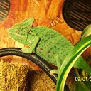 ���� Dimka, ������, 57 ��� - ��������� 11 ����� 2012 � ������ �TIERE�