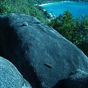 ���� �����, ������, 50 ��� - ��������� 28 ������ 2009 � ������ �������