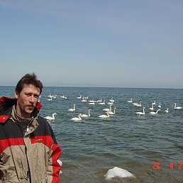 ���� �������, ����-���������, 61 ��� - ��������� 12 ������ 2012