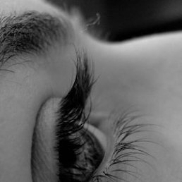 ���� ��������, ������, 33 ���� - ��������� 21 ���� 2013