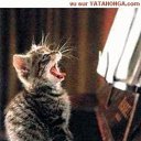 ���� He Tot, ����������, 40 ��� - ��������� 27 ������ 2010 � ������ ���� �������� ��������