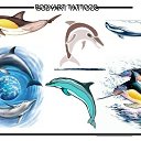  , , 37  -  6  2009   ))) 2